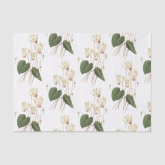 Cyclamen Blume Muster Seidenpapier