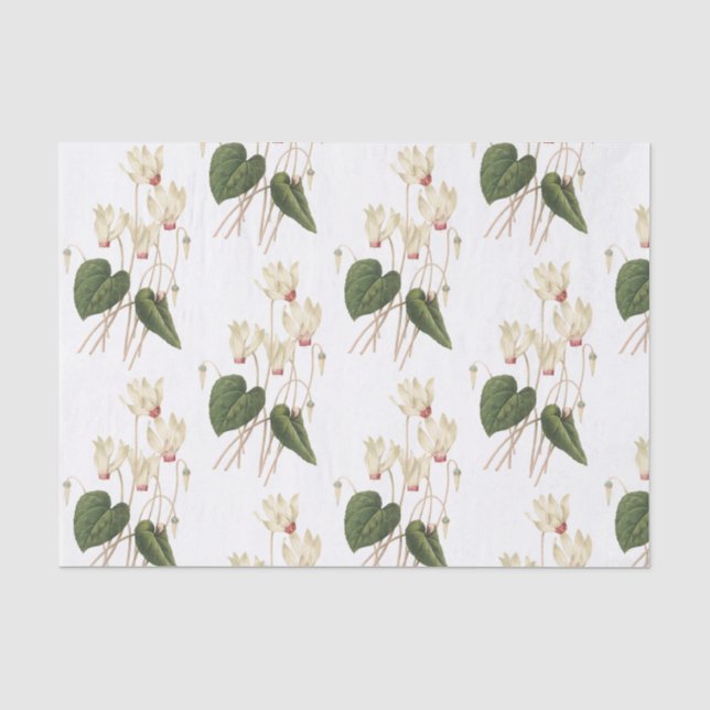 Cyclamen Blume Muster Seidenpapier (Vorderseite)