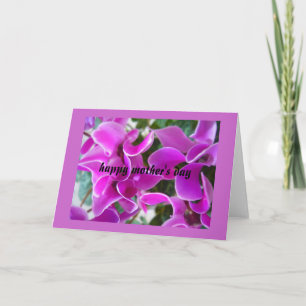 Cyclamen Karte