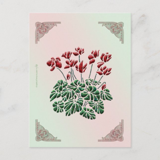 Cyclamen Postcard Postkarte (Vorderseite)