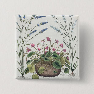 Cyclamen und Lavendel: 1.Cyclamen Romanum; 2.Spica Button