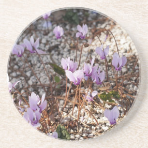 Cyclamen-Untersetzer Sandstein Untersetzer