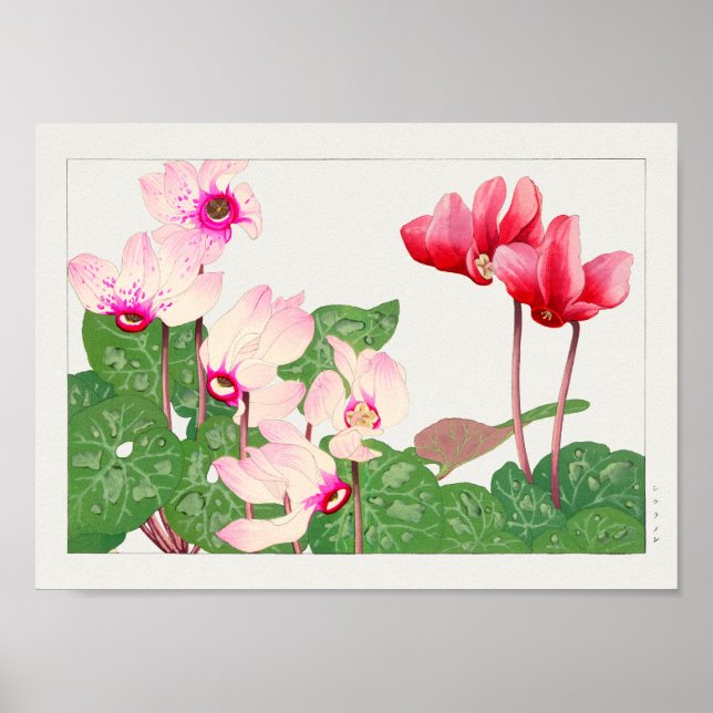 Cyclamen von Tanigami Konan Poster (Vorne)