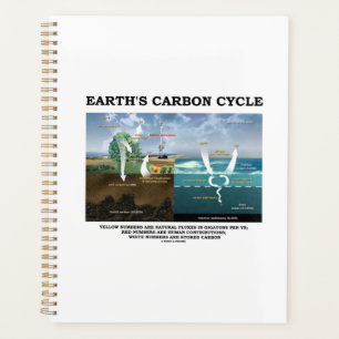Cycle du carbone de la Terre Science De l'environn