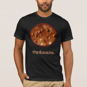 Cydonia Mars-T-Shirts T-Shirt