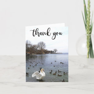 Cygne et canards sur le lac Carte de remerciements