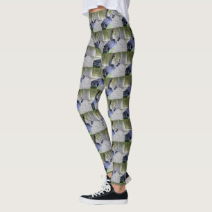 Cygne Noir Avec Bébés, Leggings