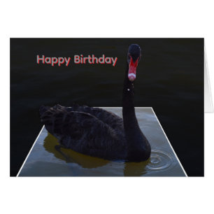 Cygne noir nageant dans un étang dimensionnel,