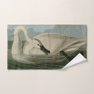 Cygne trompette - Audubon's Birds of America