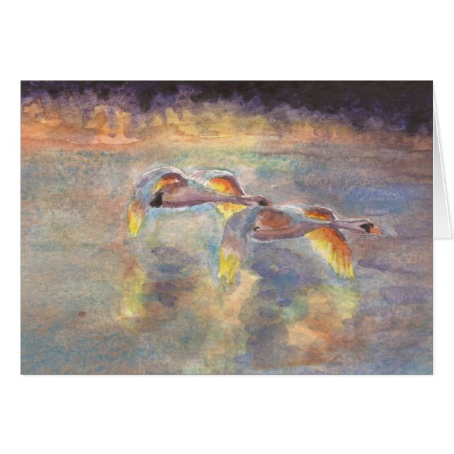 Cygnes dirigés à la maison au coucher du soleil (Devant Horizontal)