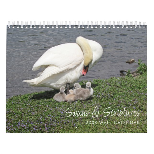 Cygnes & Écritures Calendrier de la photographie (Protection)