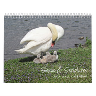 Cygnes & Écritures Calendrier de la photographie