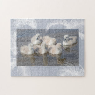 Cygnets & Feathers Puzzle