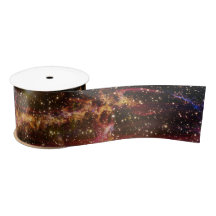 Cygnus Loop Nebula