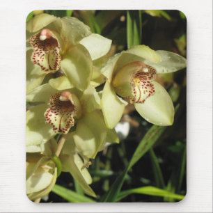 Cymbidium Orchids mousepad
