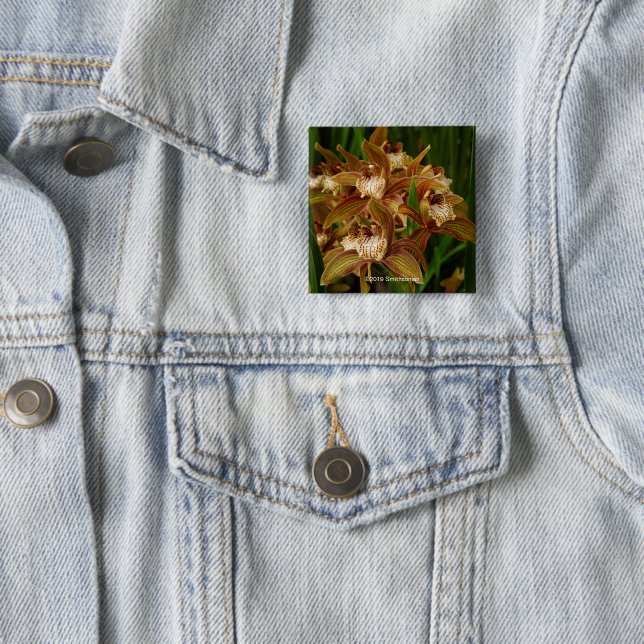 Cymbidium tracyanum button (Beispiel)