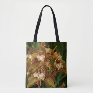 Cymbidium tracyanum tasche