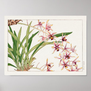 Cymbidium von Tanigami Konan Poster