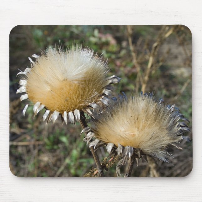 Cynara cardunculus mousepad (Vorne)