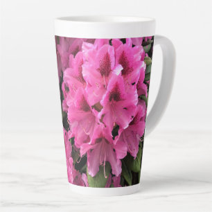 Cynthia Rhododendren, Oregon Milchtasse