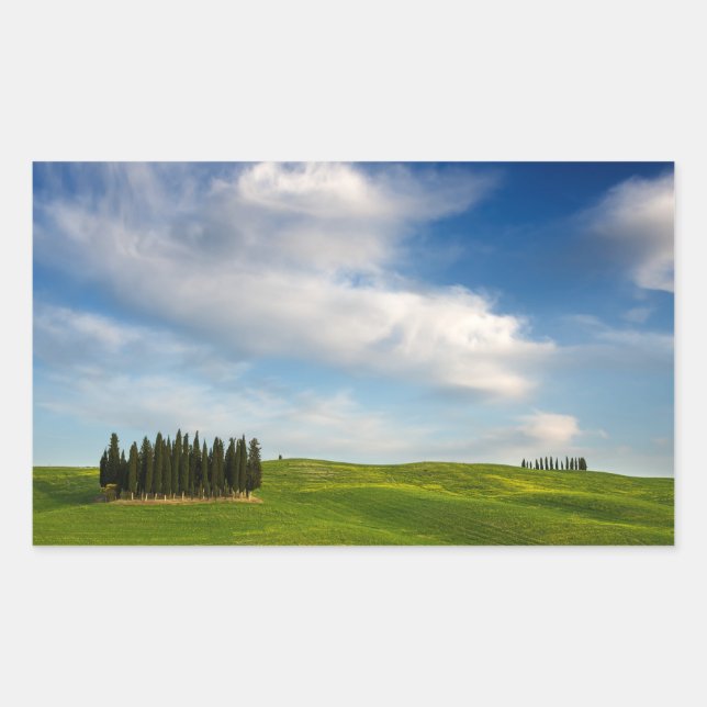 Cyprès en Toscane autocollant rectangulaire (Devant)