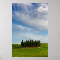 Cyprès en Toscane poster vertical