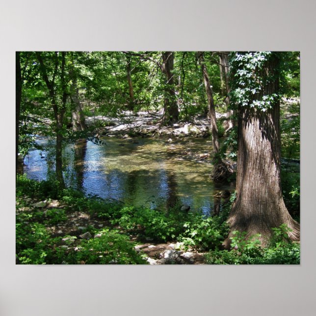 Cypress Creek Poster (Vorne)