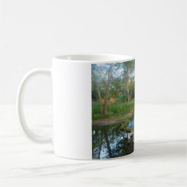 Cypress Creek Tasse