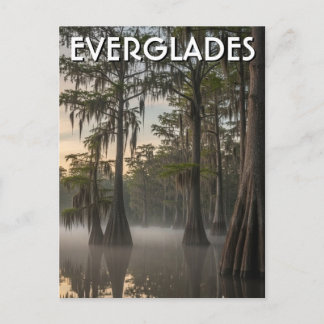 Cypress Dome Everglades National Park Florida Postkarte