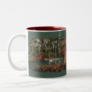 Cypress Gardens Florida Kaffee Tasse