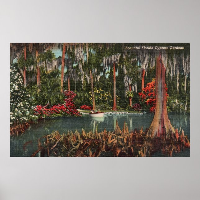 Cypress Gardens Florida Poster (Vorne)
