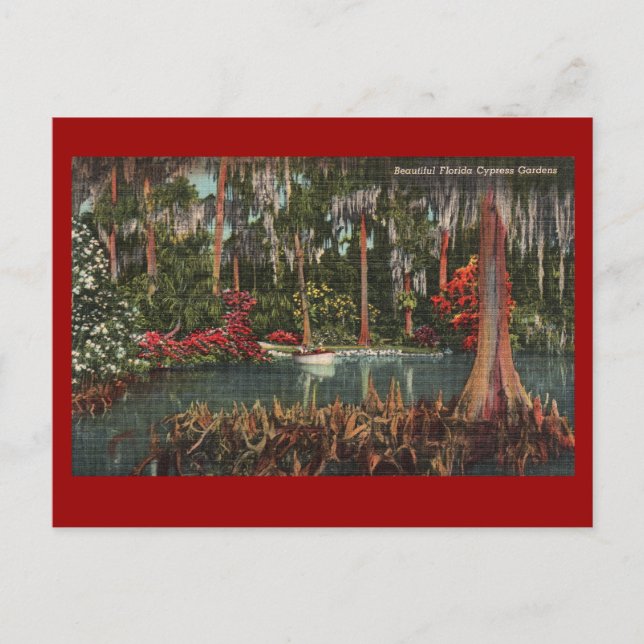 Cypress Gardens Vintag Postcard Postkarte (Vorderseite)