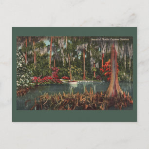 Cypress Gardens Vintage Postkarte