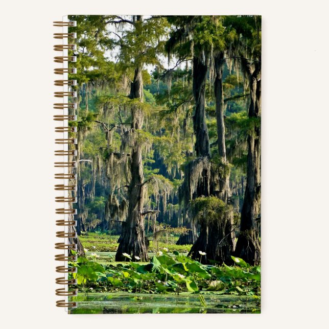 Cypress Sketch Book - 2001 Notizbuch (Vorderseite)