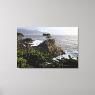 Cypress solitaire - copie étirée de toile