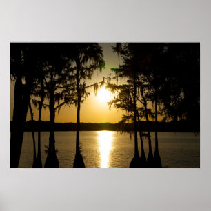 Cypress Sunset Poster
