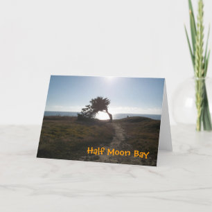 Cypress Tree Card Karte