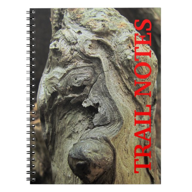 Cypress Tree Knees Notebook Notizblock (Vorderseite)