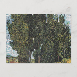 Cypress Trees by Van Gogh Postkarte