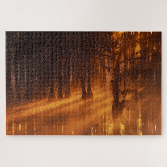 Cypress Trees | George Smith Staat Park (Horizontal)