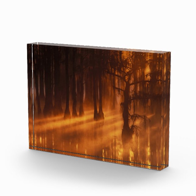 Cypress Trees | George Smith Staat Park Fotoblock (Rechts)