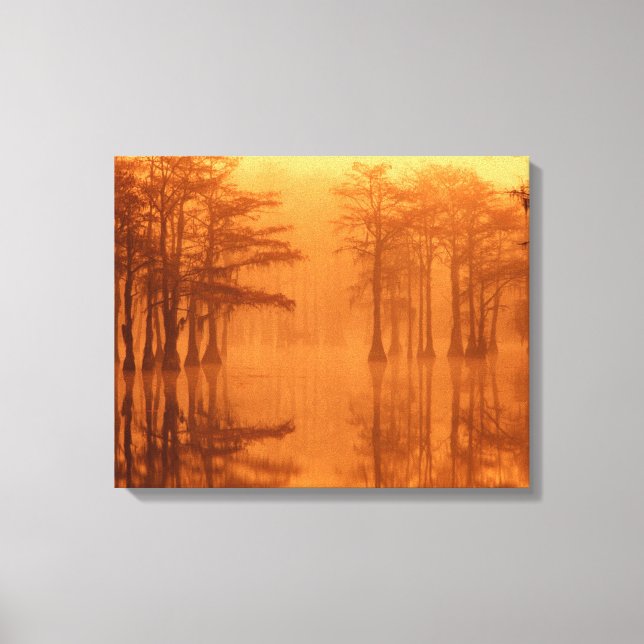 Cypress Trees George Smith Staat Park Leinwanddruck (Vorderseite)