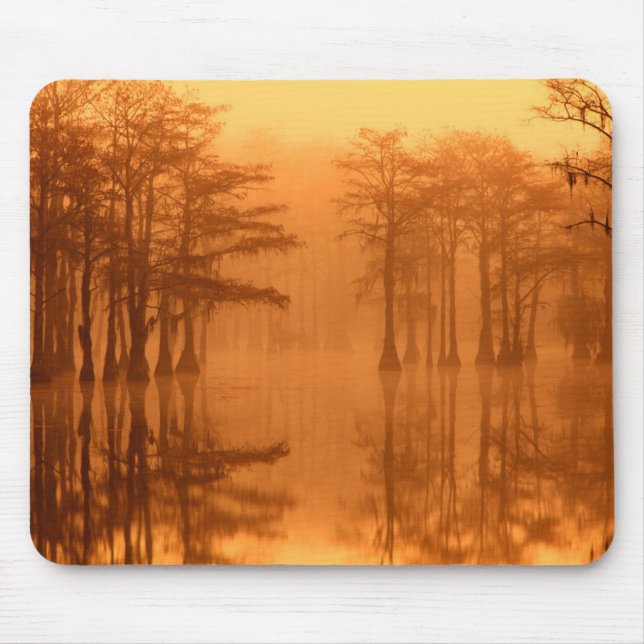 Cypress Trees George Smith Staat Park Mousepad (Vorne)