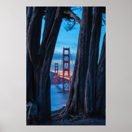 Cypress Trees mit Blick auf die Golden Gate Bridge Poster