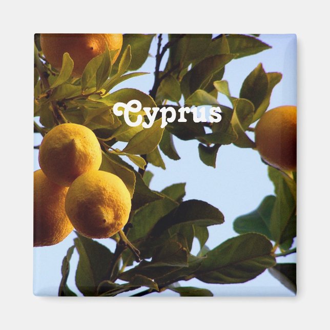 Cyprus Lemon Grove Magnet (Vorne)