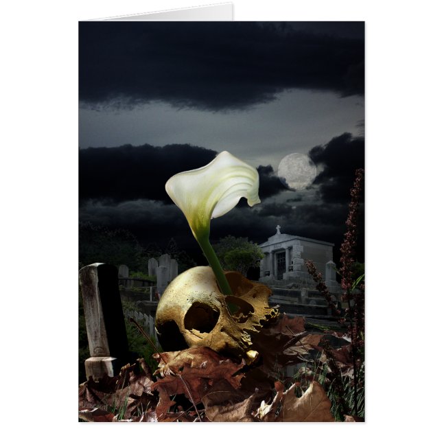 Cyrcle de la vie (Devant)