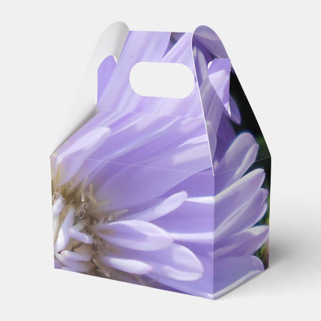 Cyren Geschenkschachtel (Vorderseite)