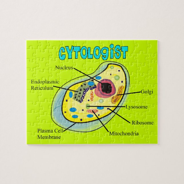 Cytologist-menschliche Zellen-Puzzlespiel (Horizontal)