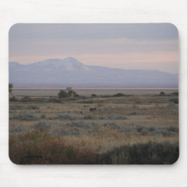 D10 Weißschwanztuchhalter und Sweet Grass Hills Mousepad