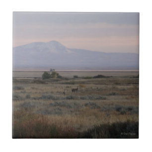 D10 Weißwedelhirsche und Sweetgrass Hills Fliese